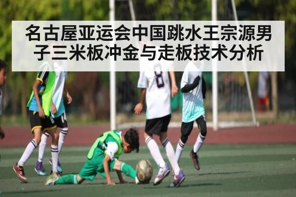 名古屋亚运会中国跳水王宗源男子三米板冲金与走板技术分析